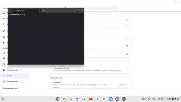 ChromeOS linux