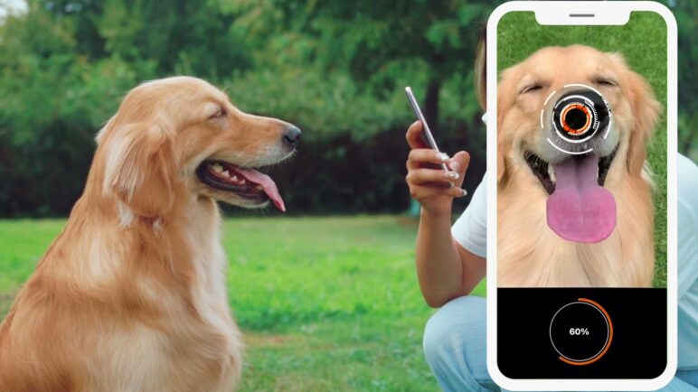 Introducing Petnow-The Nose Print Identification App for Dogs