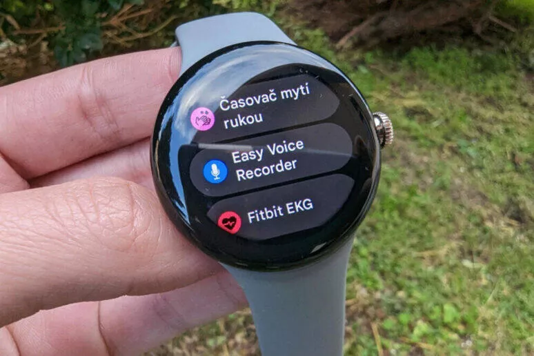 Google Pixel Watch Google Pixel Watch