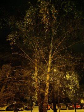 Redmi Note 12 Pro+ foto test noc strom on