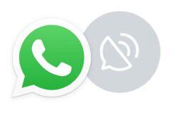 WhatsApp kanály beta novinky funkce