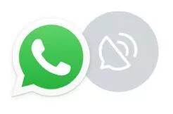 WhatsApp kanály beta novinky funkce WhatsApp kanály beta novinky funkce