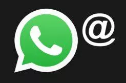 WhatsApp uživatelské jméno username beta aplikace Android uživatelská jména WhatsApp uživatelské jméno username beta aplikace Android uživatelská jména