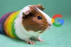 Google Imagen Editor Ai úpravy obrázků Google Imagen Editor Ai úpravy obrázků