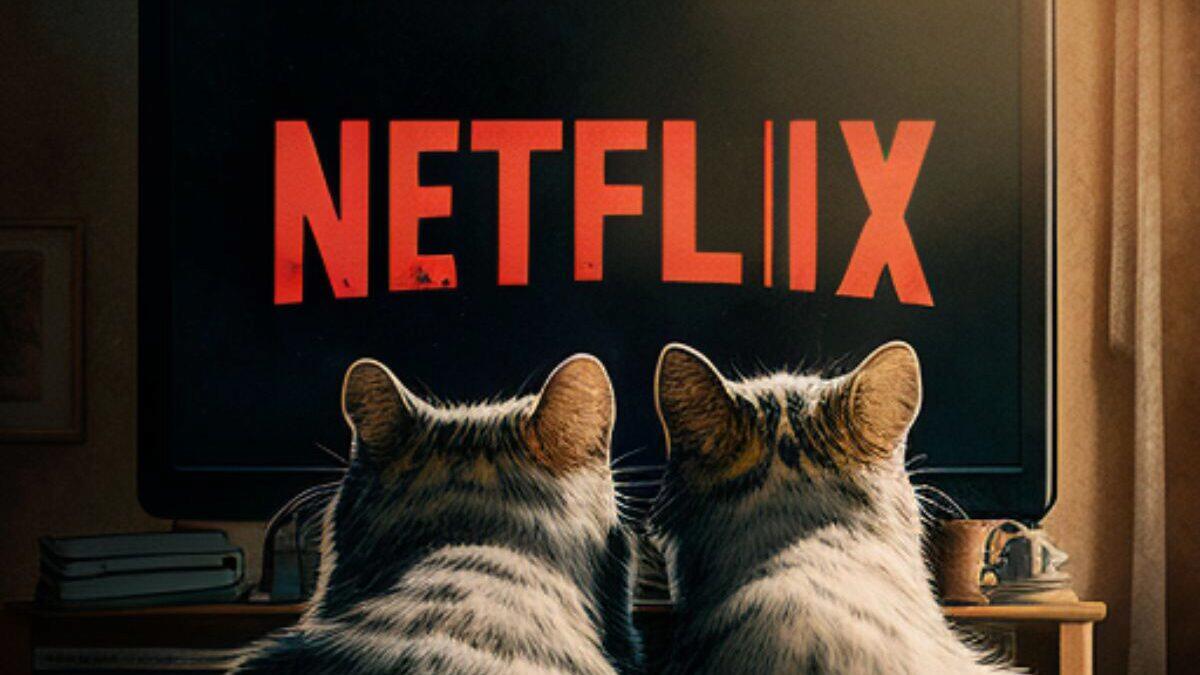 Zákaz sdílení hesel prý zatím Netflixu přináší hromady nových registrací