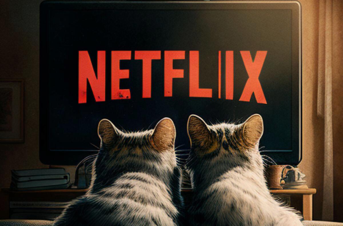 Zákaz sdílení hesel se prý zatím Netflixu vyplácí