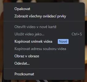 kopírovat snímek videa google chrome