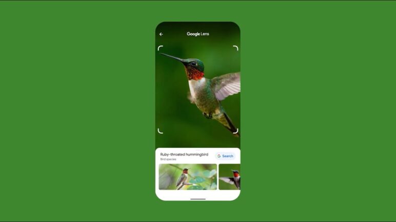 How Google Lens helps you search what you see | Search
