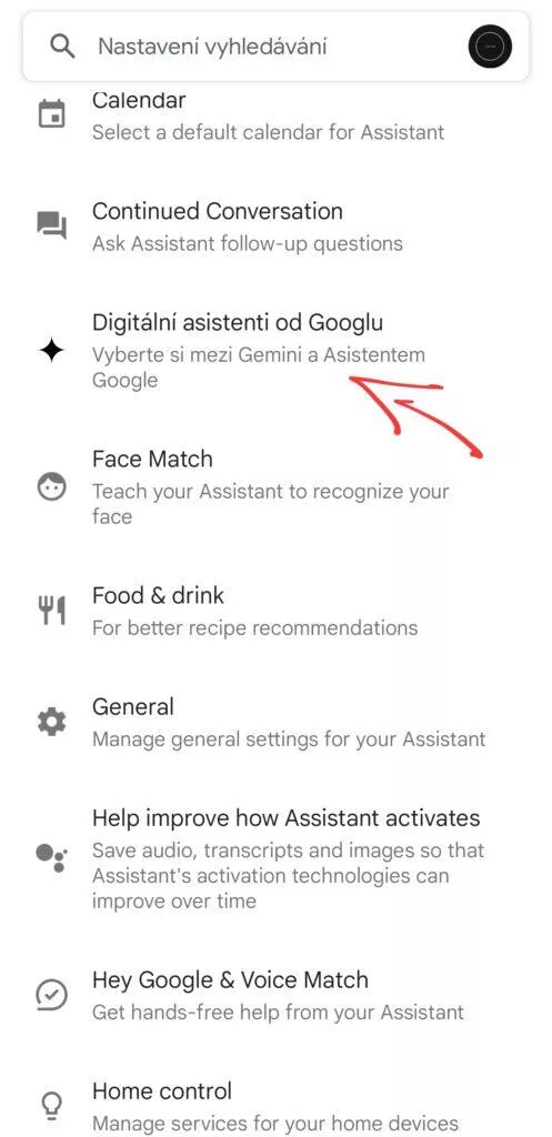 google gemini jak nastavit