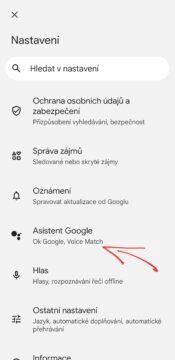 nastavení google asistenta čeština