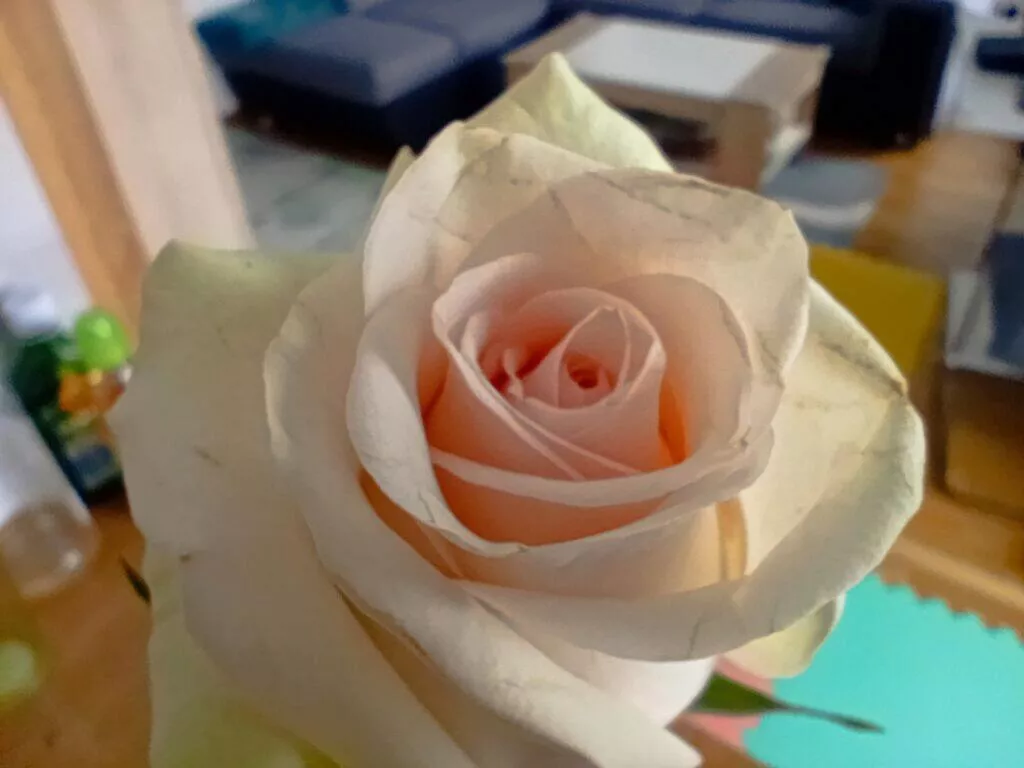 redmi note 13 pro makro 2 1