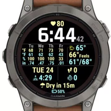 Garmin Weather Pro