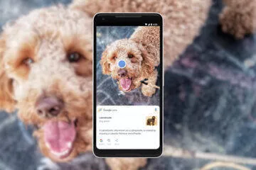 Google Lens pes