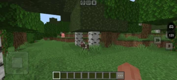 minecraft 120 Hz