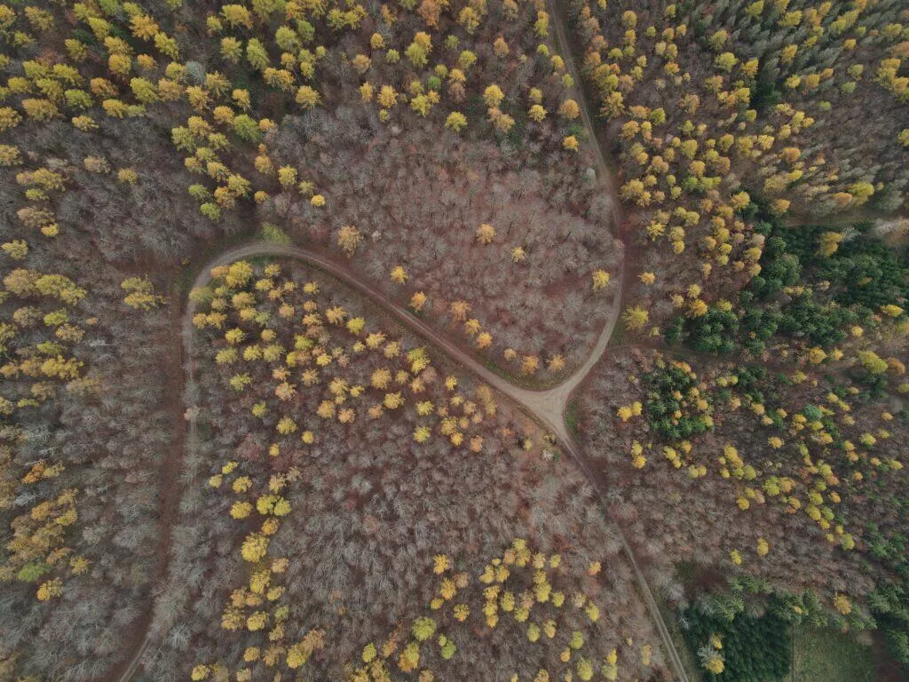 dron