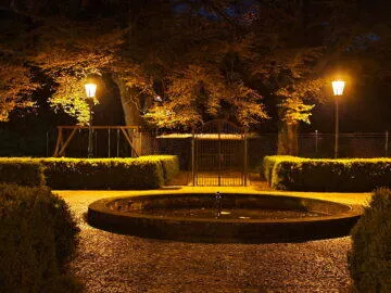 noční fotka zahrady