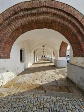 nove město zoom