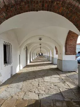 nove město zoom