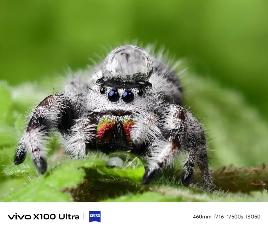 vivo x100 ultra fotky 6