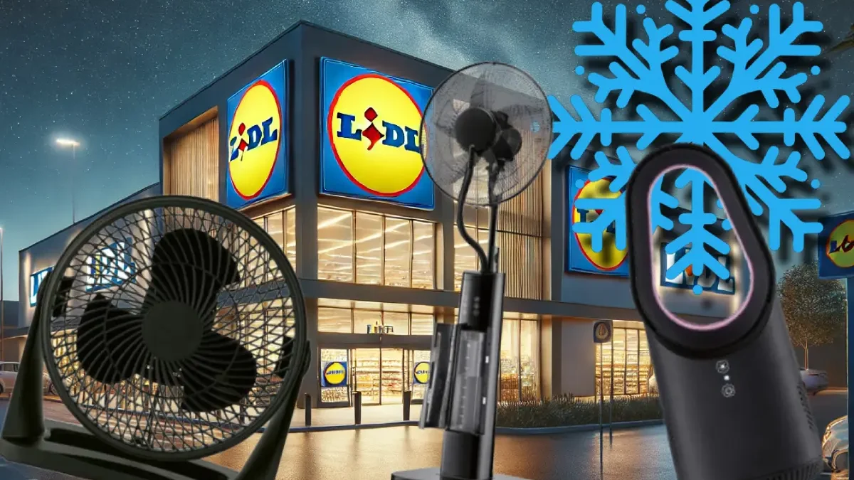 Je vám doma horko? LIDL prodává spoustu levných ventilátorů, vybere si každý