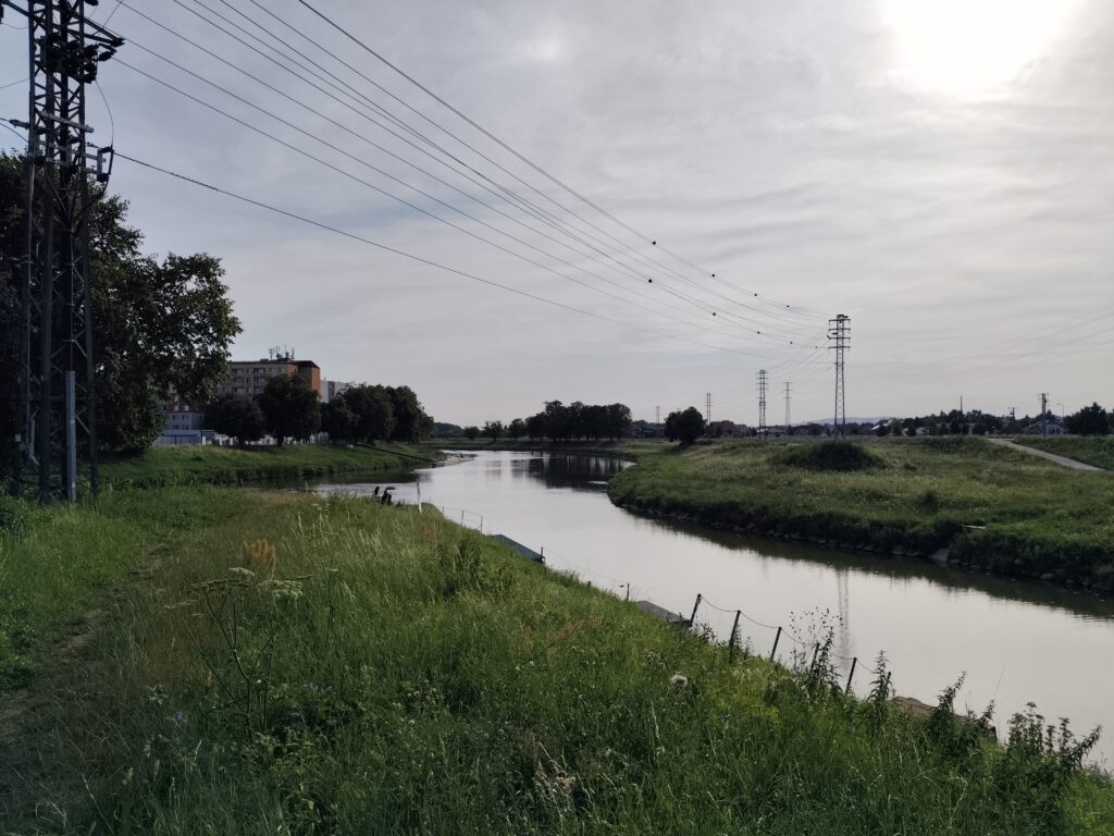 vivo v40 lite primirni fotoaparat 3