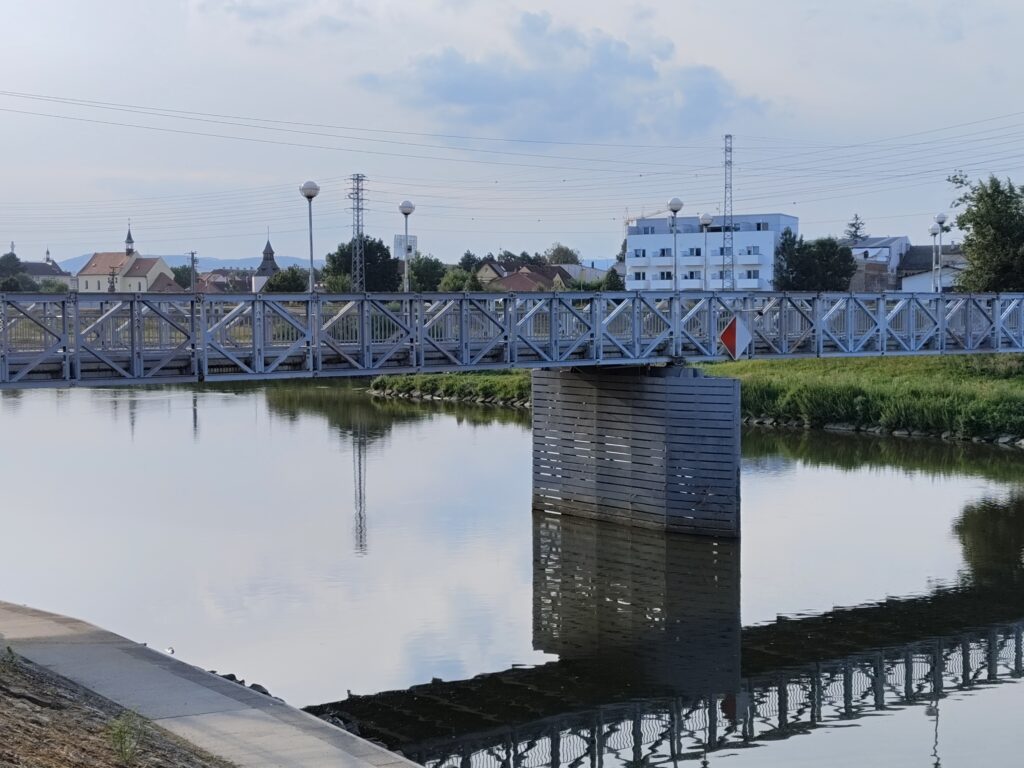 vivo v40 se primarni 2x zoom 2