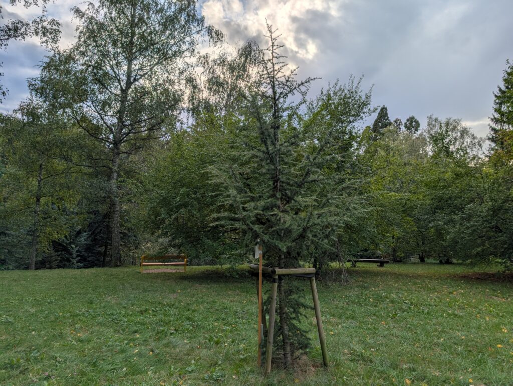 stin pixel 9 Krajina stín Pixel 9