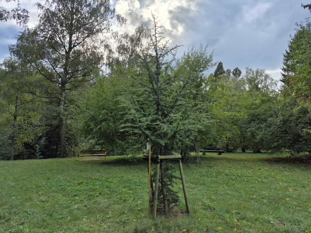 stin s 24 fe Krajina stín S24 FE