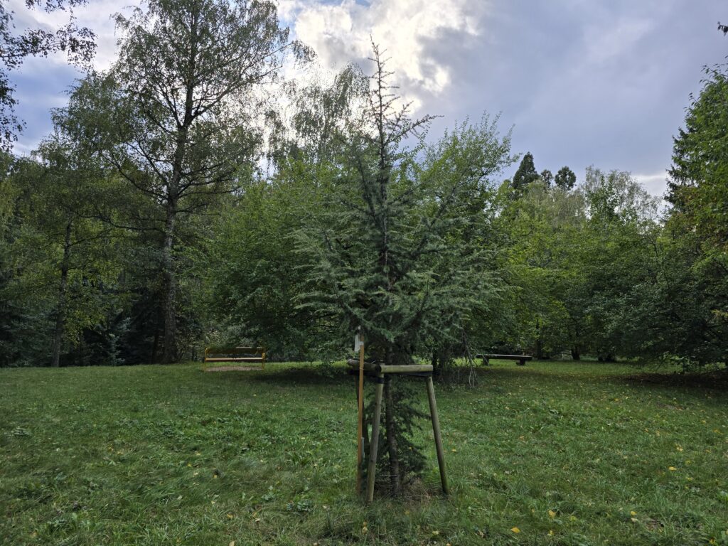 stin s 24 ultra Krajina stín S24 Ultra