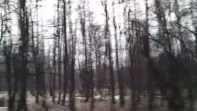 Ukázkové video z telefonu Nexus 4 Ukázkové video z telefonu Nexus 4