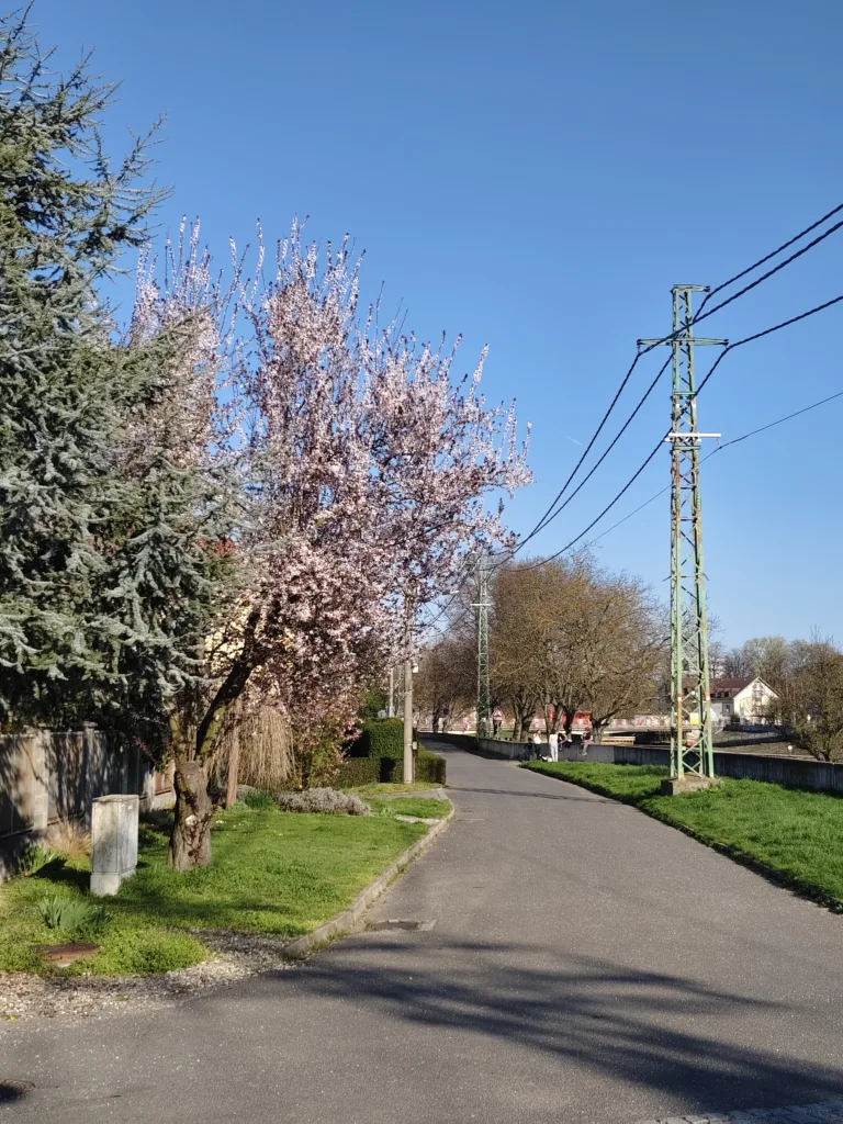 Vivo V50 primarni fotoaparat 6