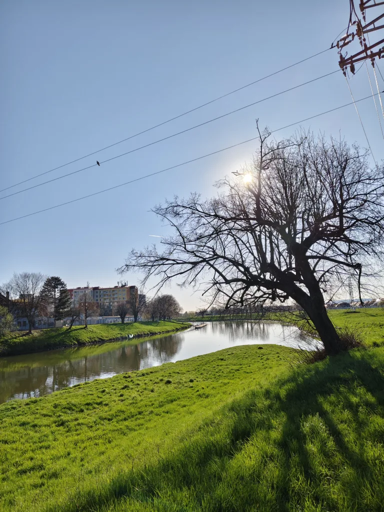 Vivo V50 primarni fotoaparat 7