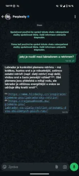 chat s perplexity ve whatsappu