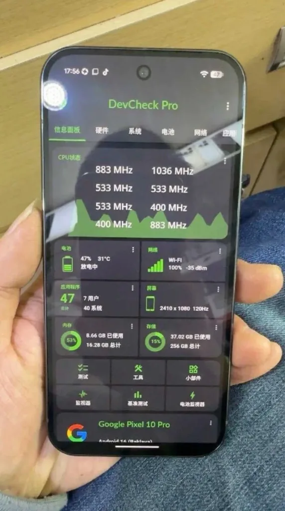 Google Pixel 10 Pro devcheck