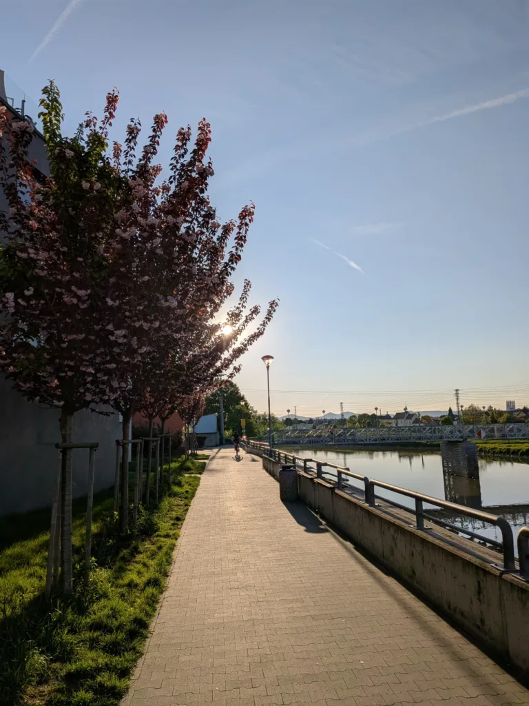 Google Pixel 9a foto primarni 5