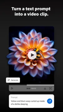adobe firefly videa z textu