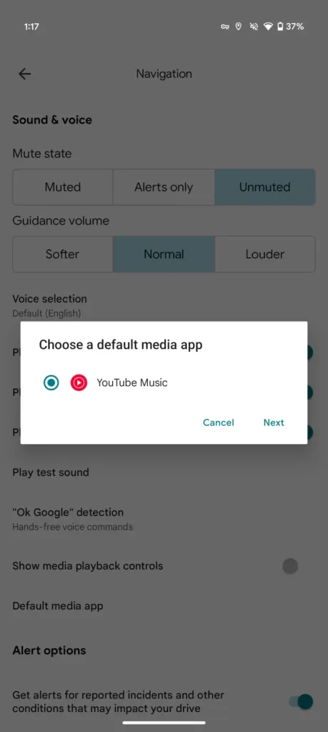 Google Maps media controls 6