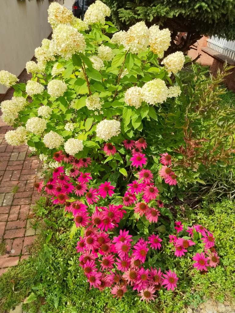 vivo v50 lite hlavni ker
