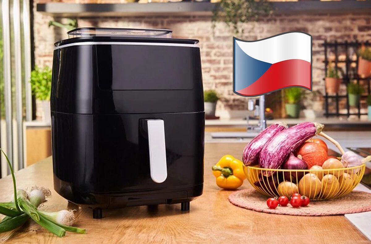 tefal friteza
