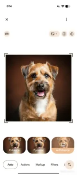 fotky google svetly rezim android authority automaticke upravy