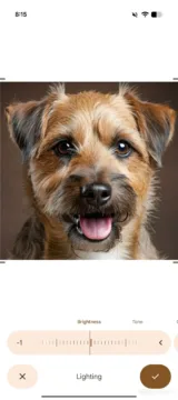 fotky google svetly rezim android authority uprava jasu