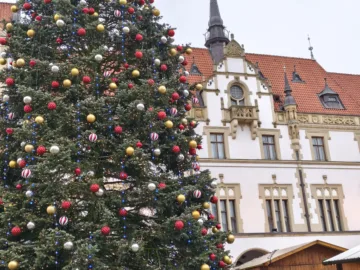 poco f8 pro fotografie ve dne 19