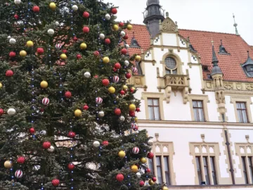 poco f8 pro fotografie ve dne 20