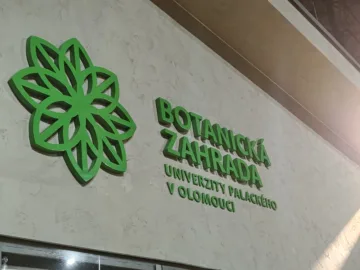 poco f8 pro nocni fotografie 25