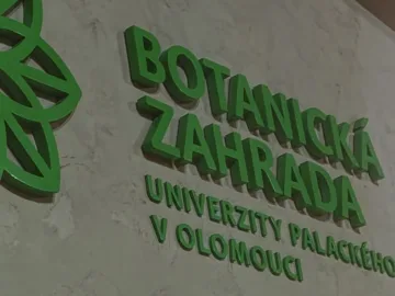 poco f8 pro nocni fotografie 28