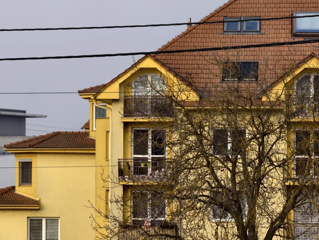 Vivo X300 Pro foto x10