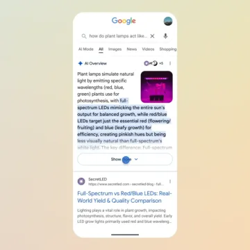 google ai overview zobrazit vice prechod do ai mode