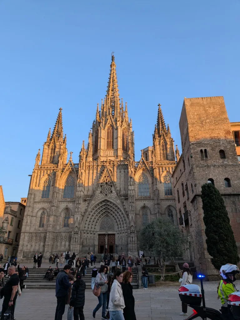 PXL 20260301 171106891.MP