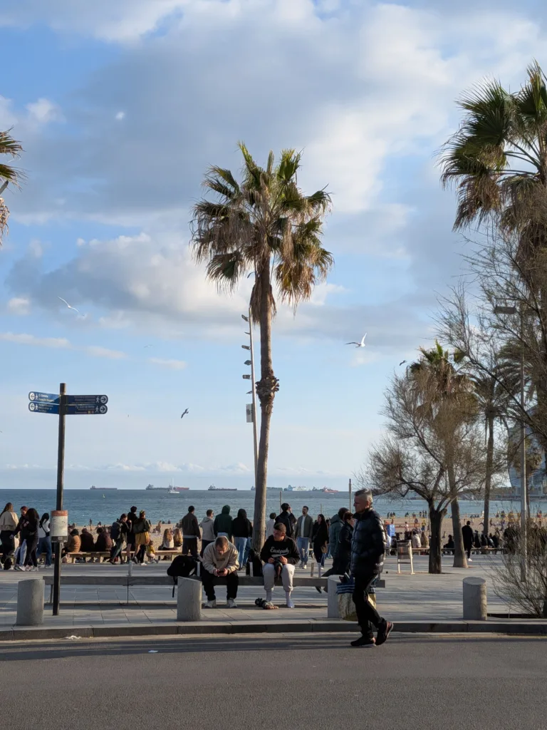 pixel 10a 2x vyrez plaz