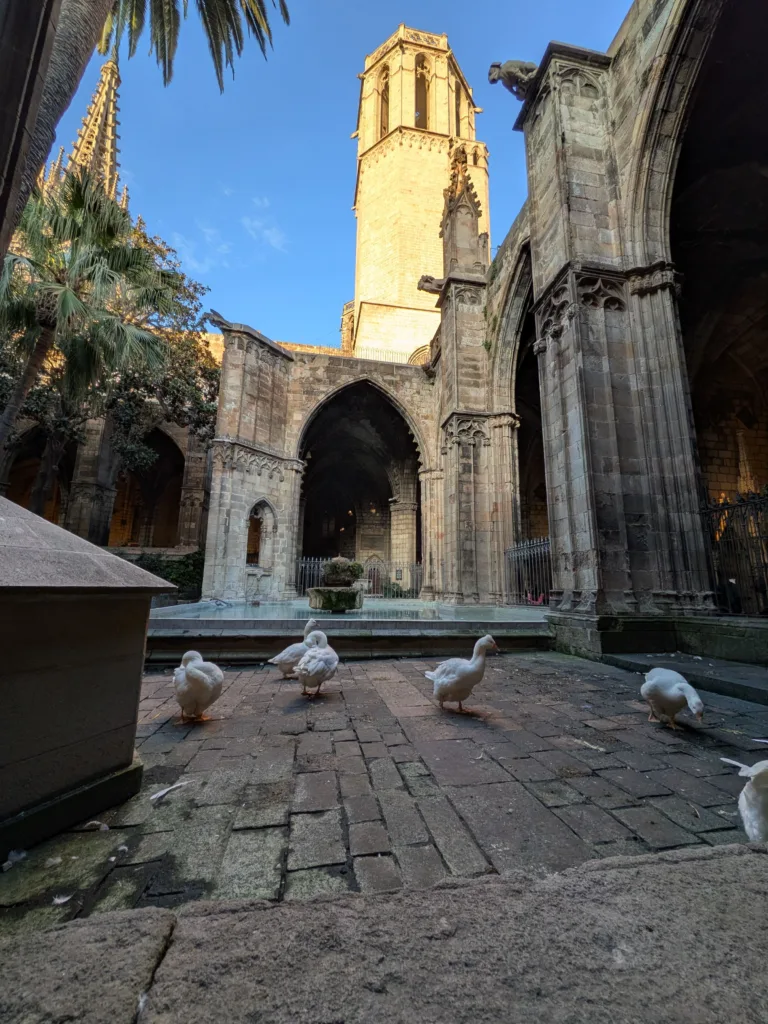 pixel 10a barcelona centrum